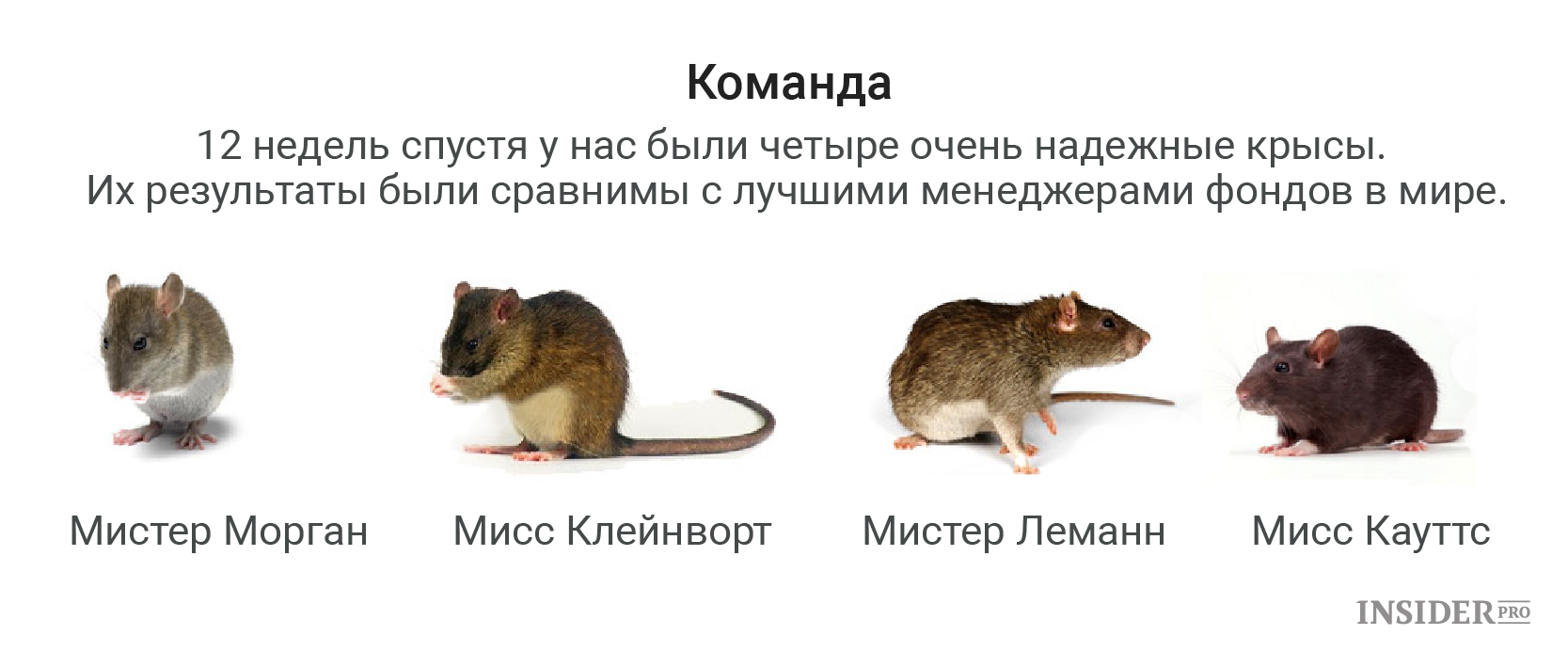 Гороскоп На Следующую Неделю Крыса