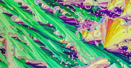 15 imágenes de microscopio que te harán ver el mundo con otros ojos