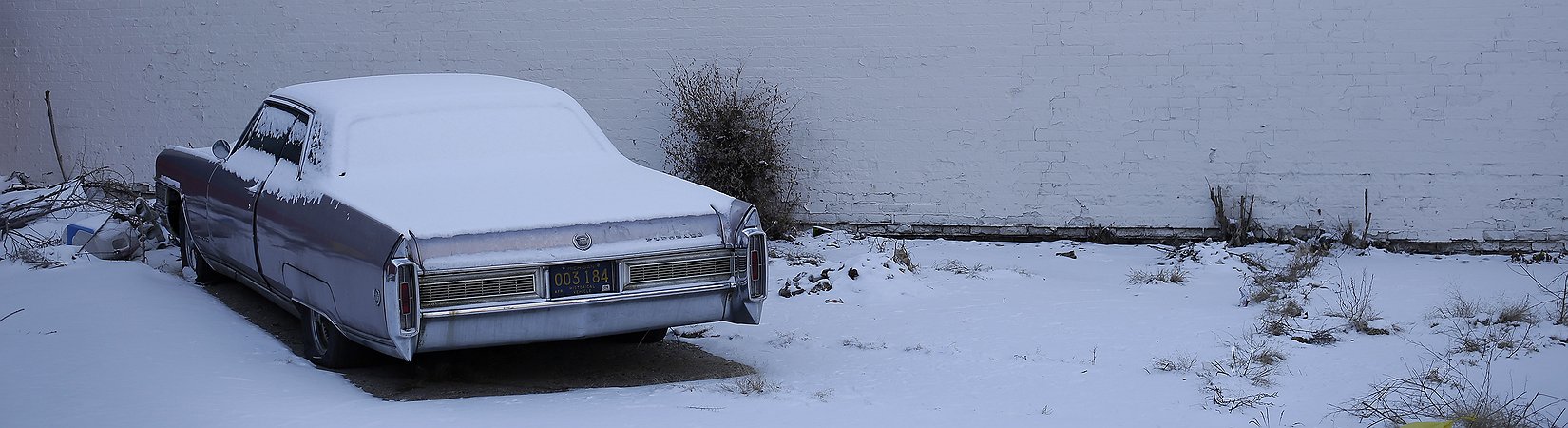 Carta De Conducao Estados Unidos  Sample Web w