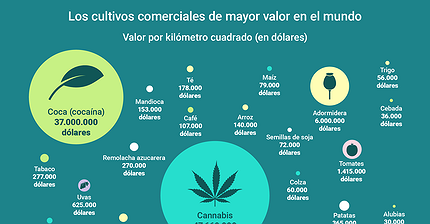 Infografía: Los cultivos comerciales de mayor valor en el mundo