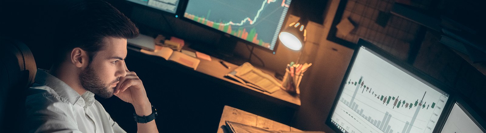 Вы — умеренный инвестор. Вас не вгоняют в панику временные падения рынка. При этом вы умело сочетаете средний риск и хорошую доходность.