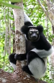 11 Lugares que você tem que visitar antes que desapareçam