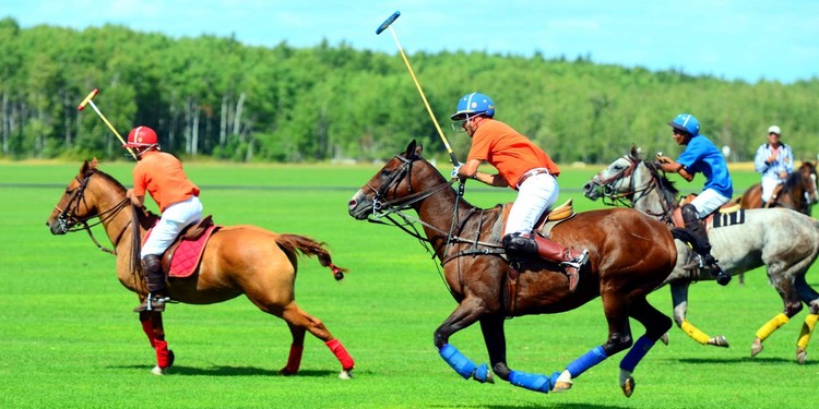 Siete verdades sobre el dinero