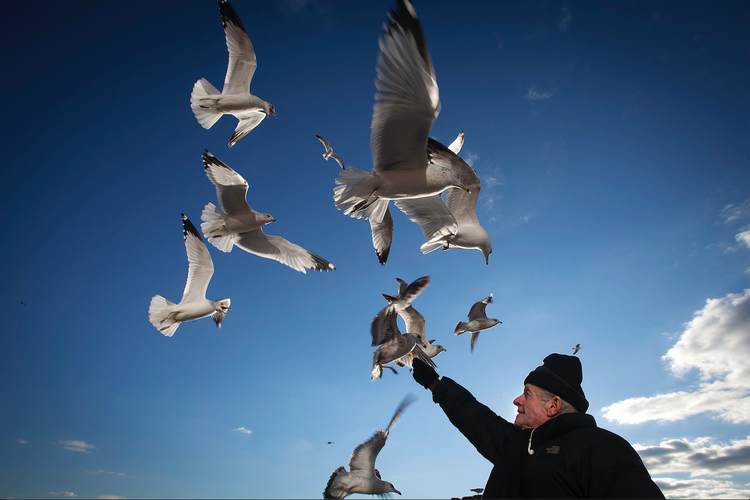 Las 7 principales tendencias económicas para 2017