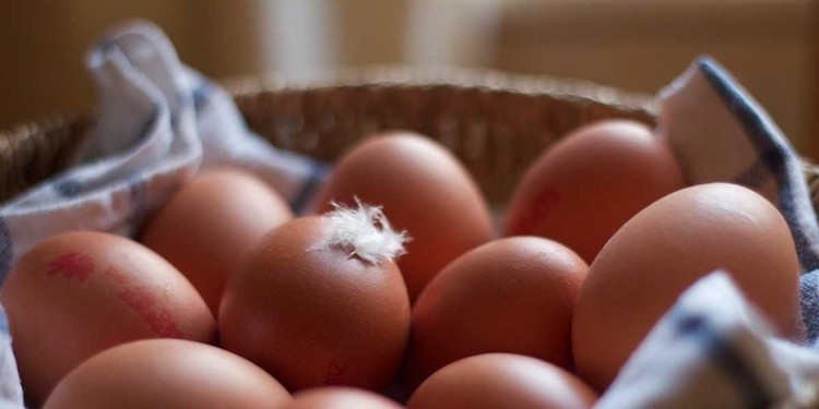 دليل المستثمرين المبتدئين