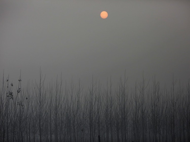 الصين الملوثة 