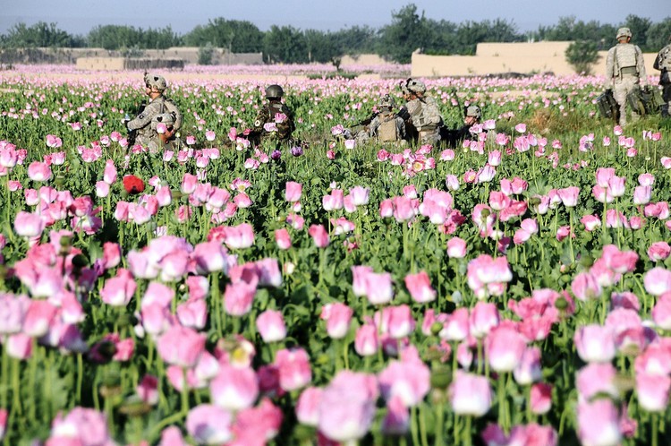 كيف تخسر 7.6 مليار دولار