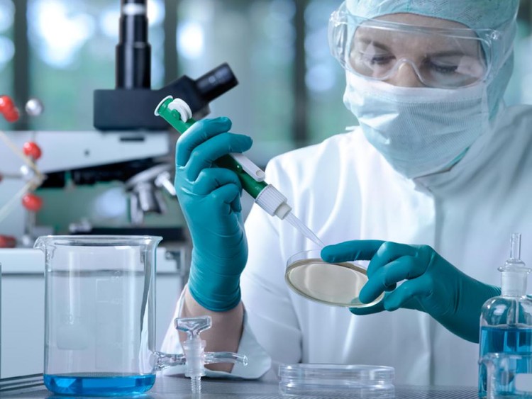 16 azioni su cui scommettere 