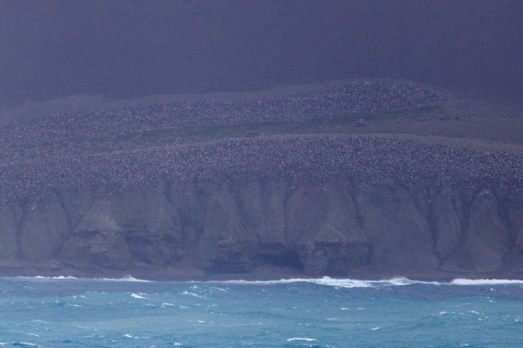 FOTO: eruzione di un vulcano nei ghiacci