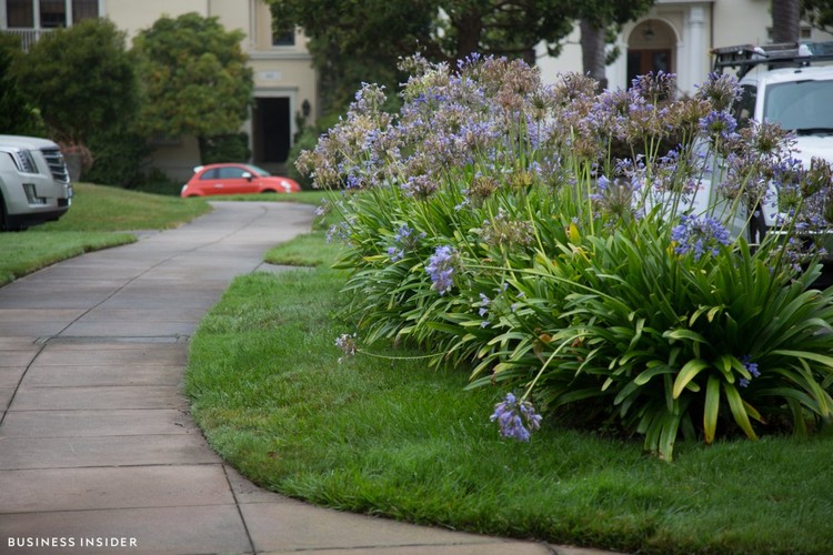 Cómo una pareja de inmigrantes ha comprado las calles de los políticos más ricos de California