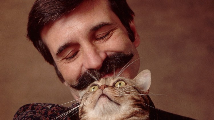 7 coisas a fazer na sua terra natal durante as férias