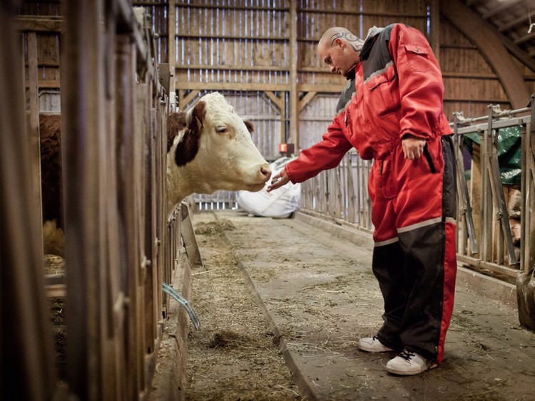 12 سجنا يمكن أن تظن أنها فنادق