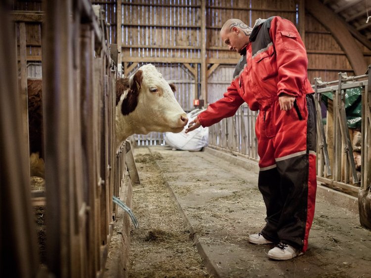 12 سجنا يمكن أن تظن أنها فنادق