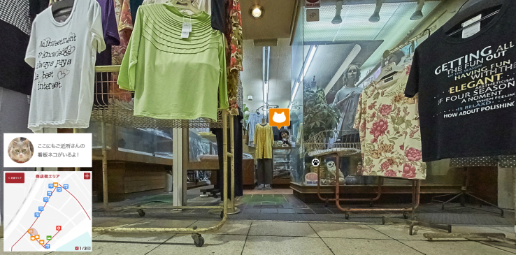 Veja o mundo na perspetiva de um gato