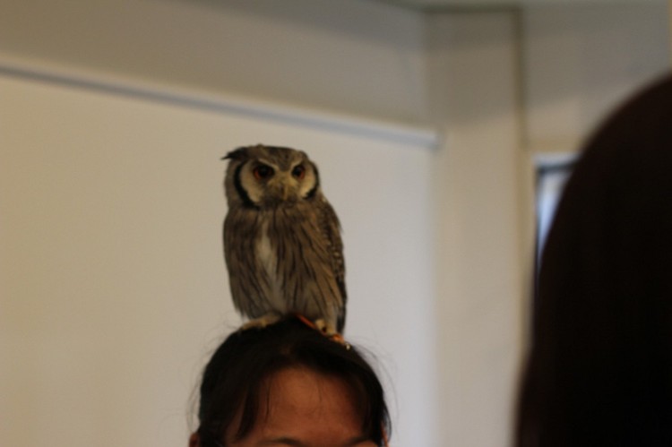 10 أماكن مدهشة في اليابان