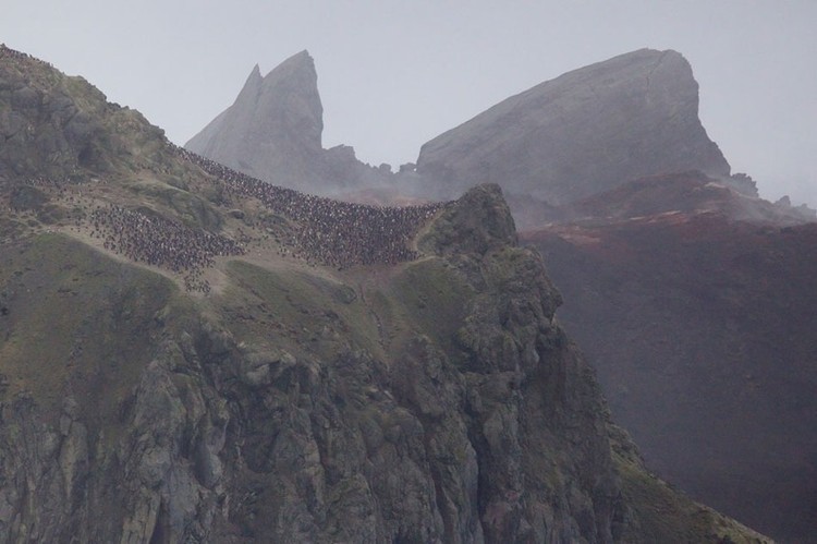 FOTO: eruzione di un vulcano nei ghiacci