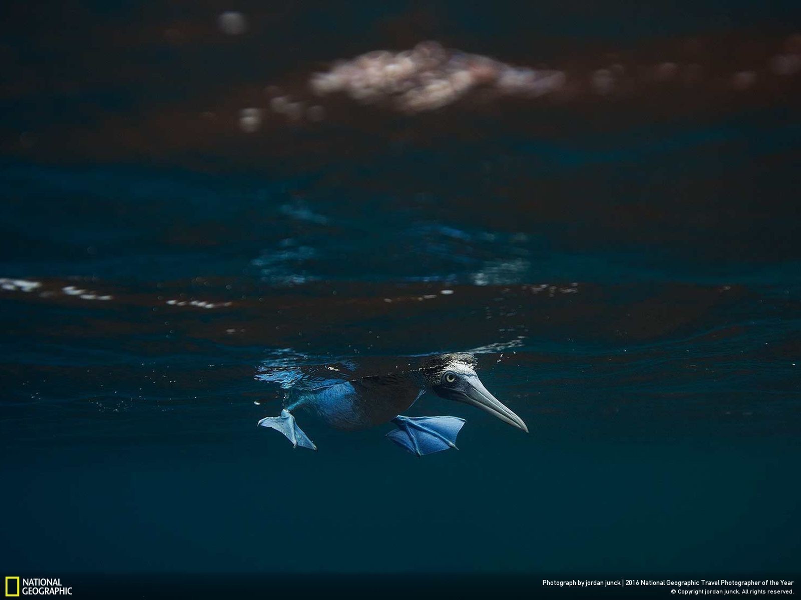 47 Fotos Impresionantes Del Concurso De Fotografía Fotógrafo De Viajes De National Geographic 6773