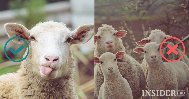 10 regole per investitori principianti