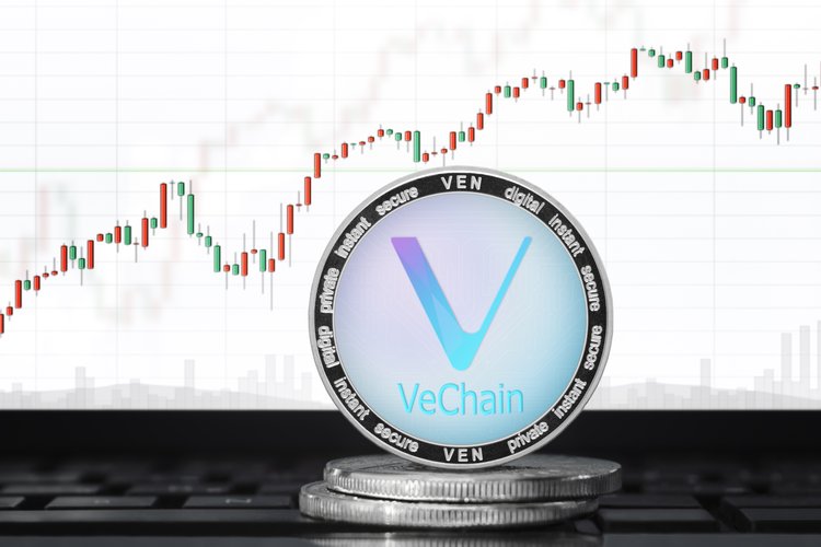 VeChain Review