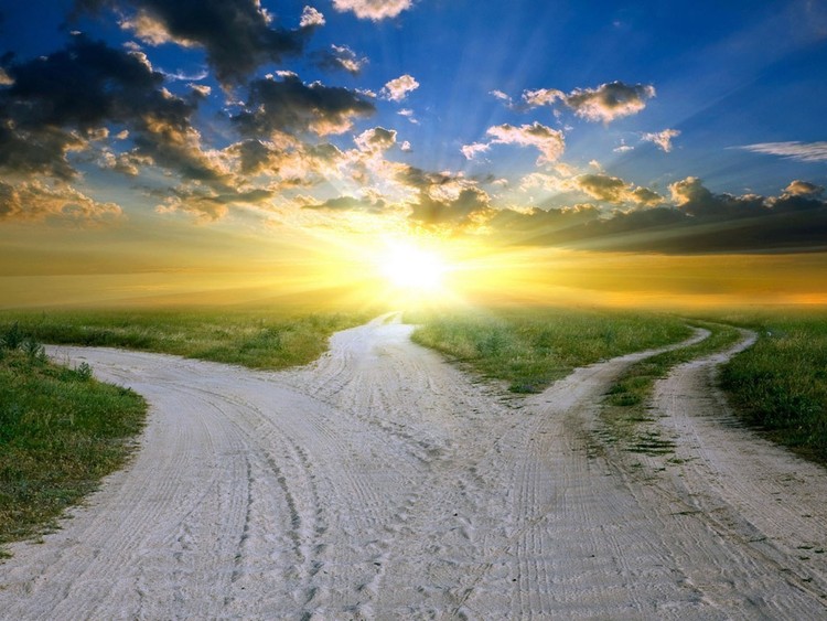 7 hábitos simples con los que mejorar la inteligencia