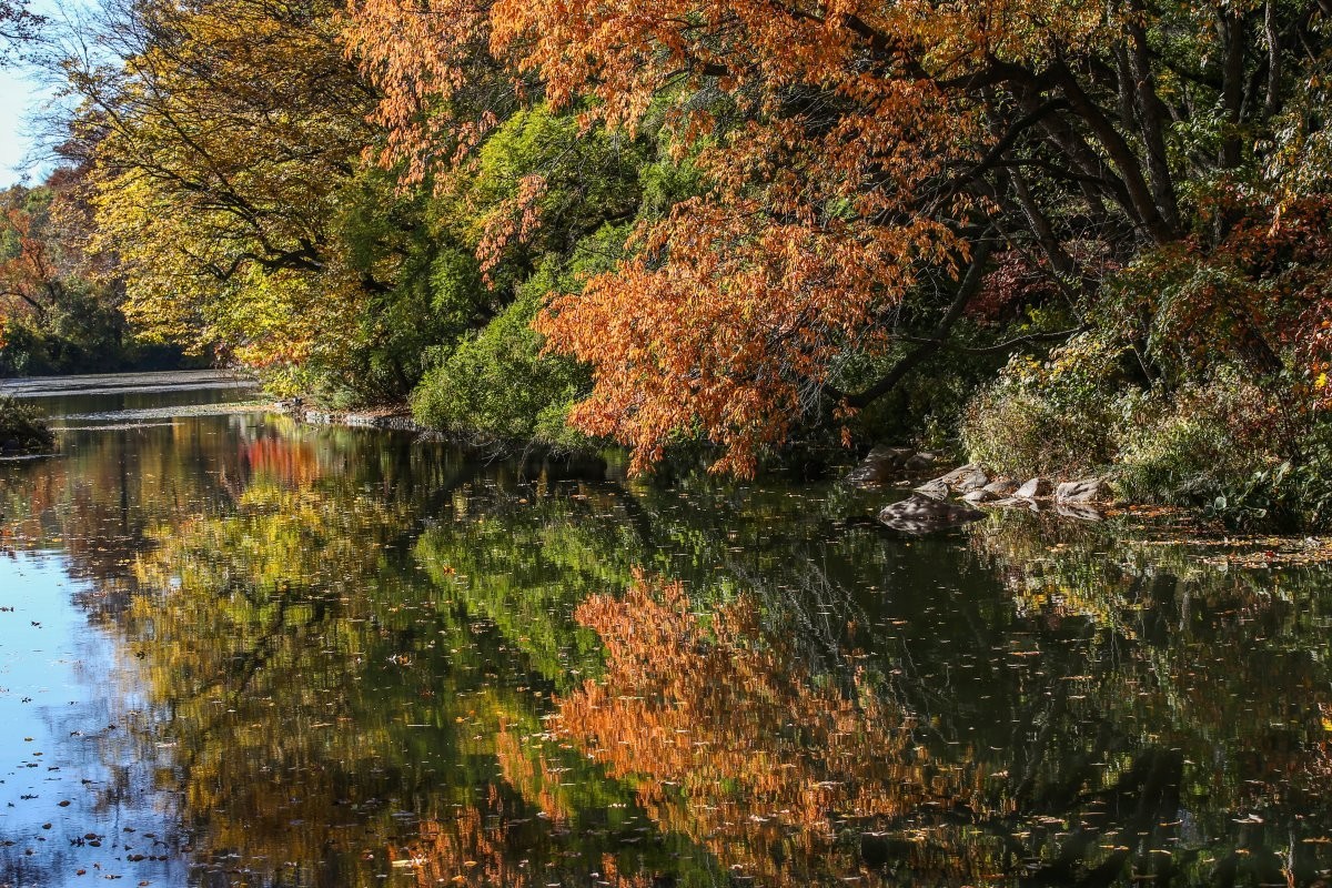 Die wunderschönsten City Parks rund um die Welt