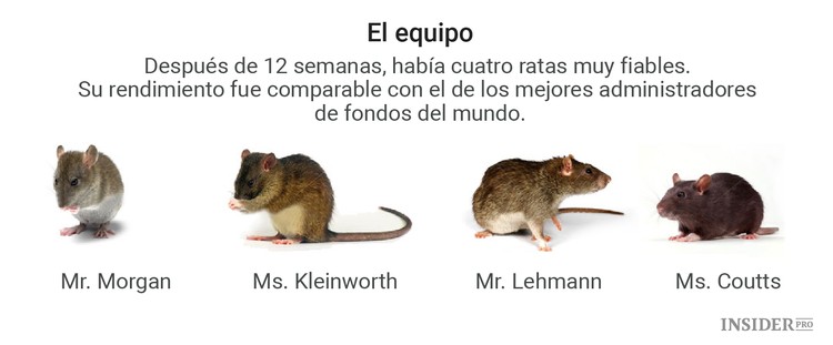Cuando convertí ratones en corredores de bolsa