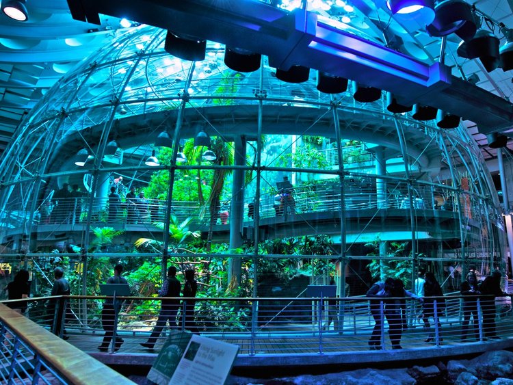 17 razones para ir a San Francisco