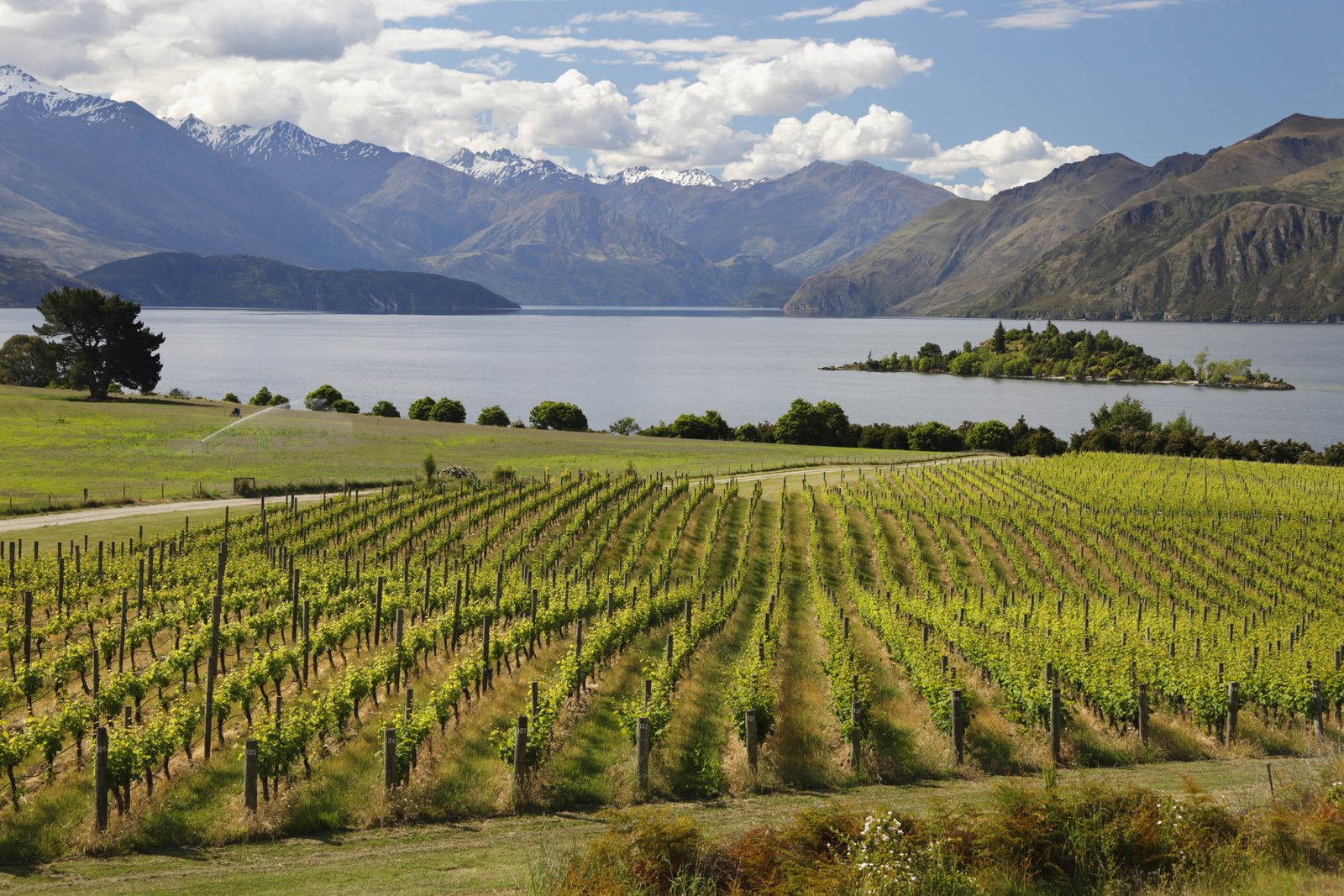 De Europa a Australia: Guía de las mejores bodegas del mundo