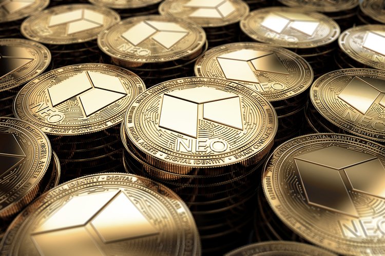 ¿Qué está impulsando el crecimiento actual de NEO?