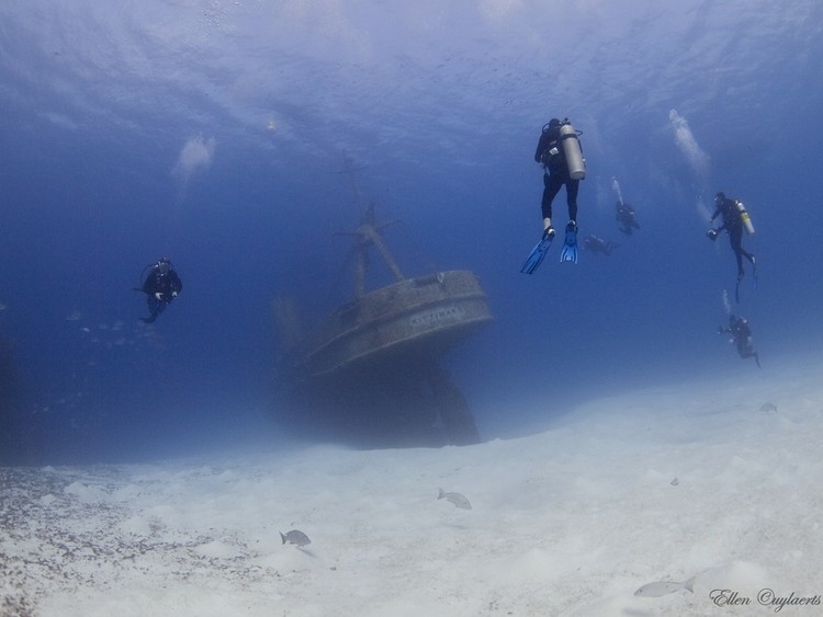Segredos do fundo do mar