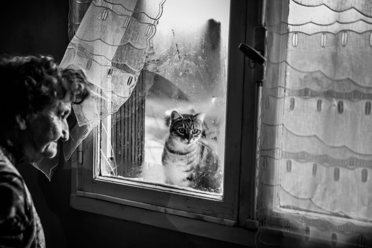 20 fotos que o transportam para outra dimensão