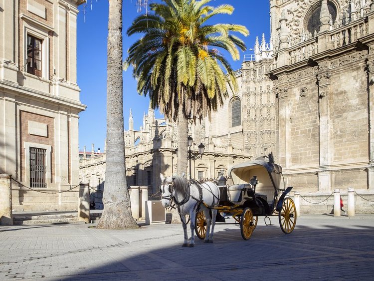 لماذا إشبيلية أفضل مدينة للرحلات في عام 2018