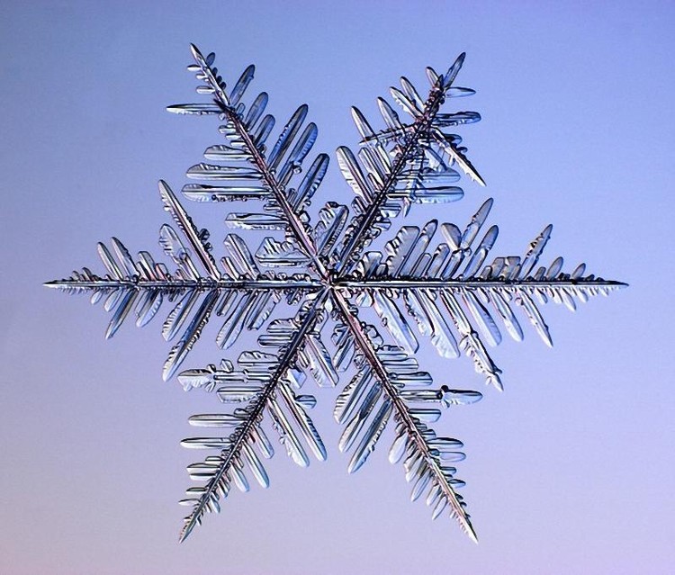 Em que teorias de trading acreditar