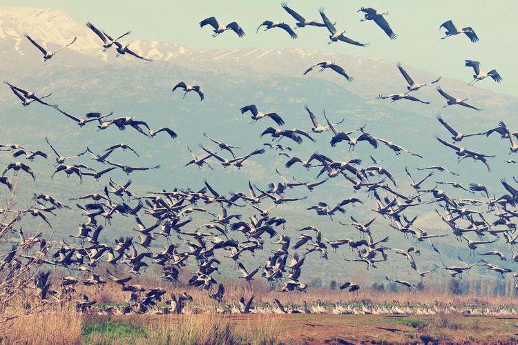 10 errores que las personas de éxito jamás repiten