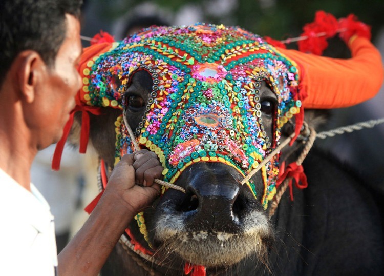 الهالووين في كل العالم