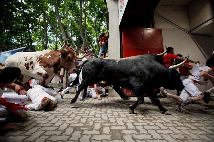 No se quede atrapado debajo de un toro
