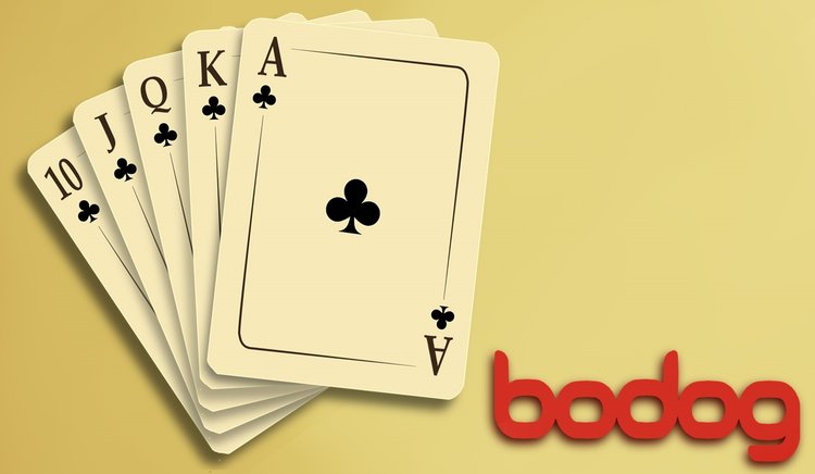 Top 10 World-Known Companies That Accept Bitcoin