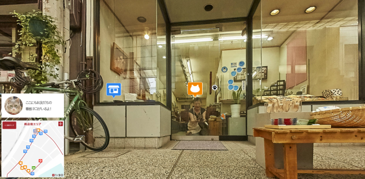 Internet è stato creato per una buona ragione, il Cat Street View