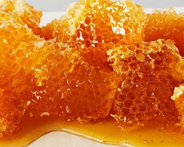 15 alimentos en peligro de extinción