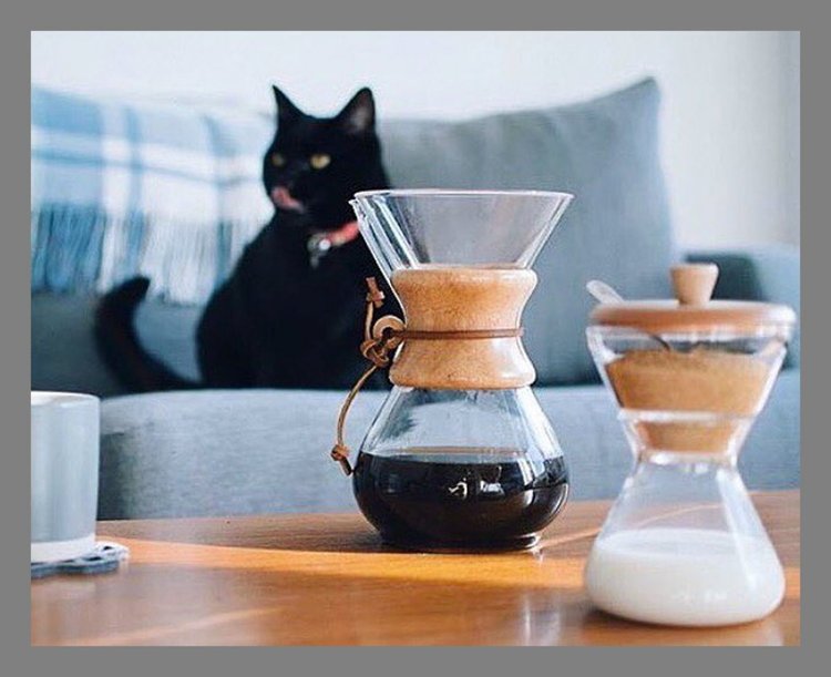 ستة أشياء يجب أن يمتلكها كل محب للقهوة