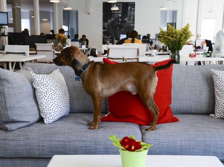 Os melhores escritórios de start-ups de 2014