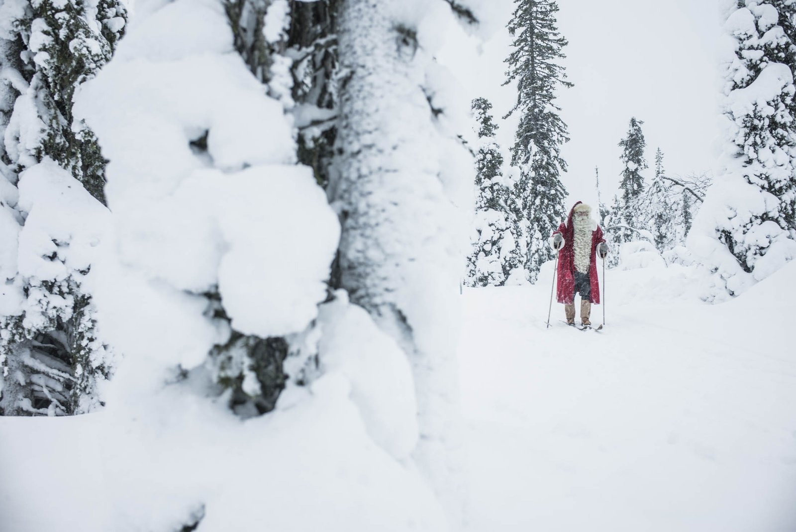 FOTOS: 16 razones para ir a Laponia este invierno