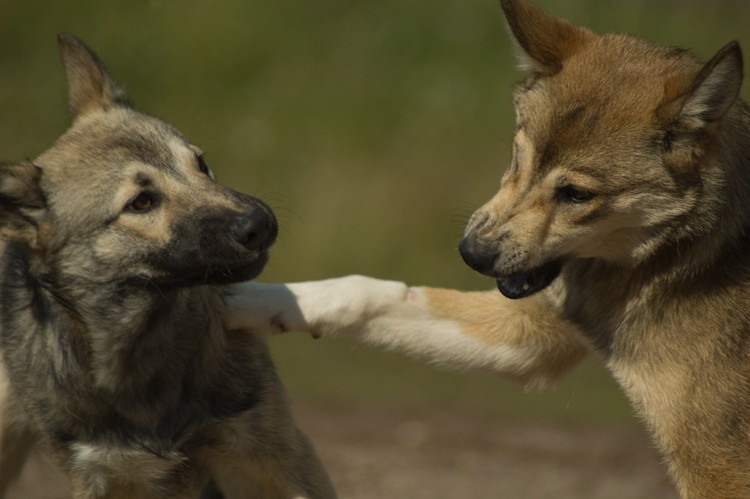 20 Verdades desconfortáveis