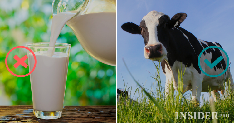 IPO or ICO: Investor’s Choice