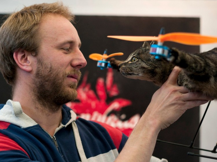 O artista que transformou um gato morto num drone