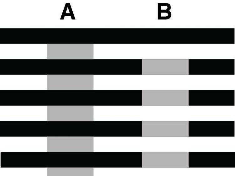  17 خدعة بصرية 