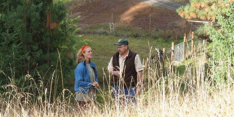 Os 10 melhores trabalhos para introvertidos