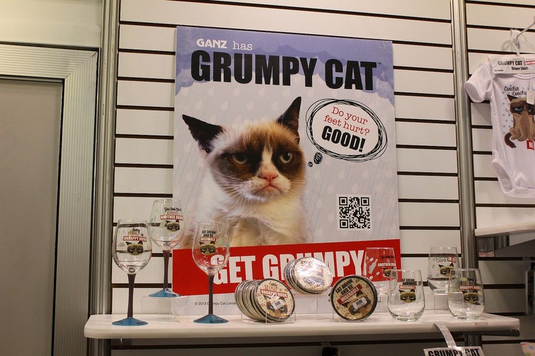 قط كسب لصاحبته 100 مليون دولار