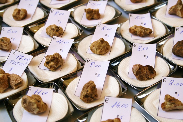 As 19 substâncias mais caras do mundo