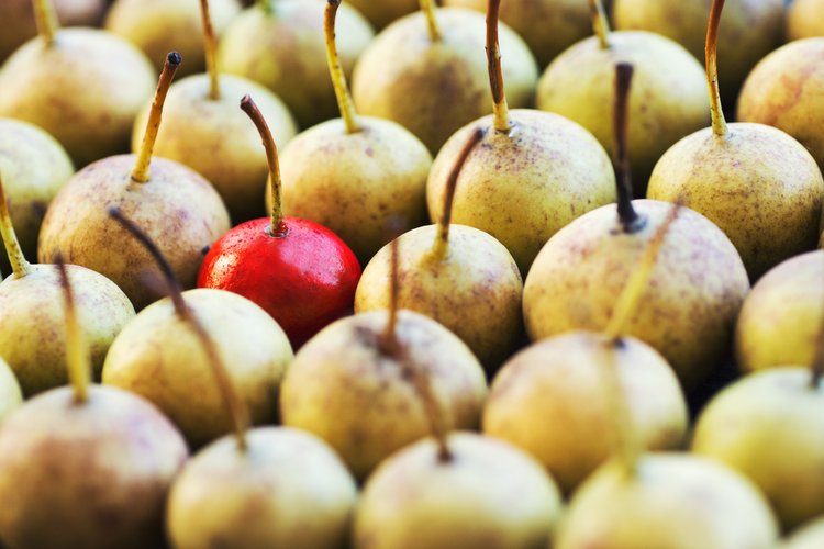 5 Factos que provavelmente não conhece sobre a Ripple